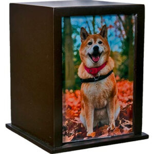 CUBO PORTA RETRATO