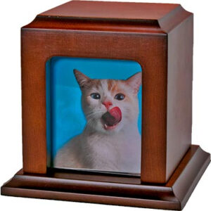 CUBO PORTA ETERNITY