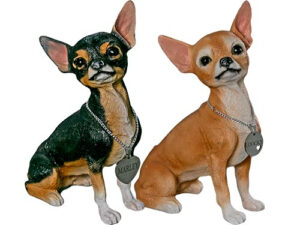 CHIHUAHUA
