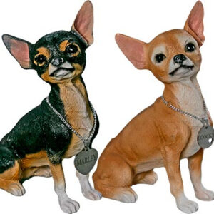 CHIHUAHUA