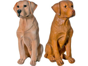 Labrador
