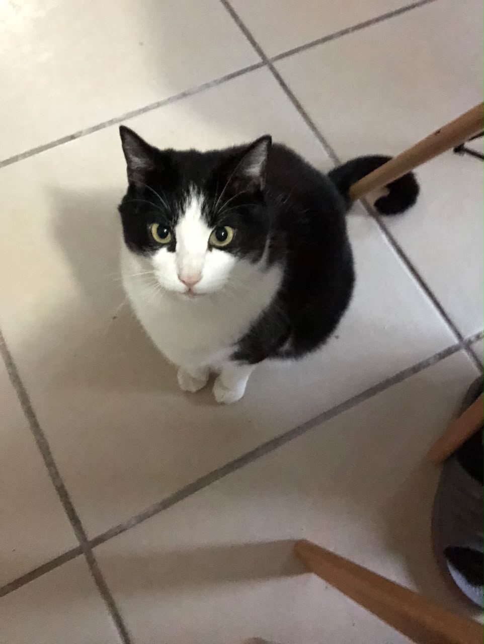 OREO