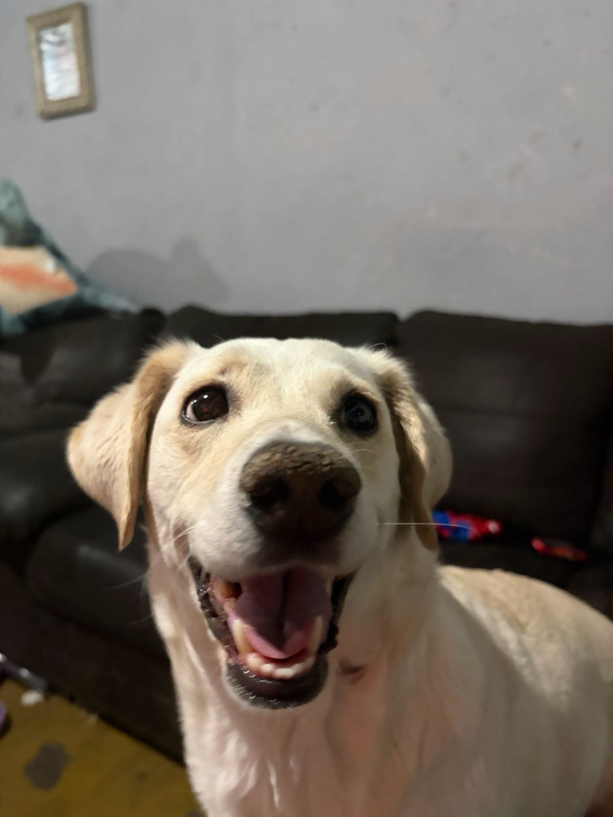 LUNA