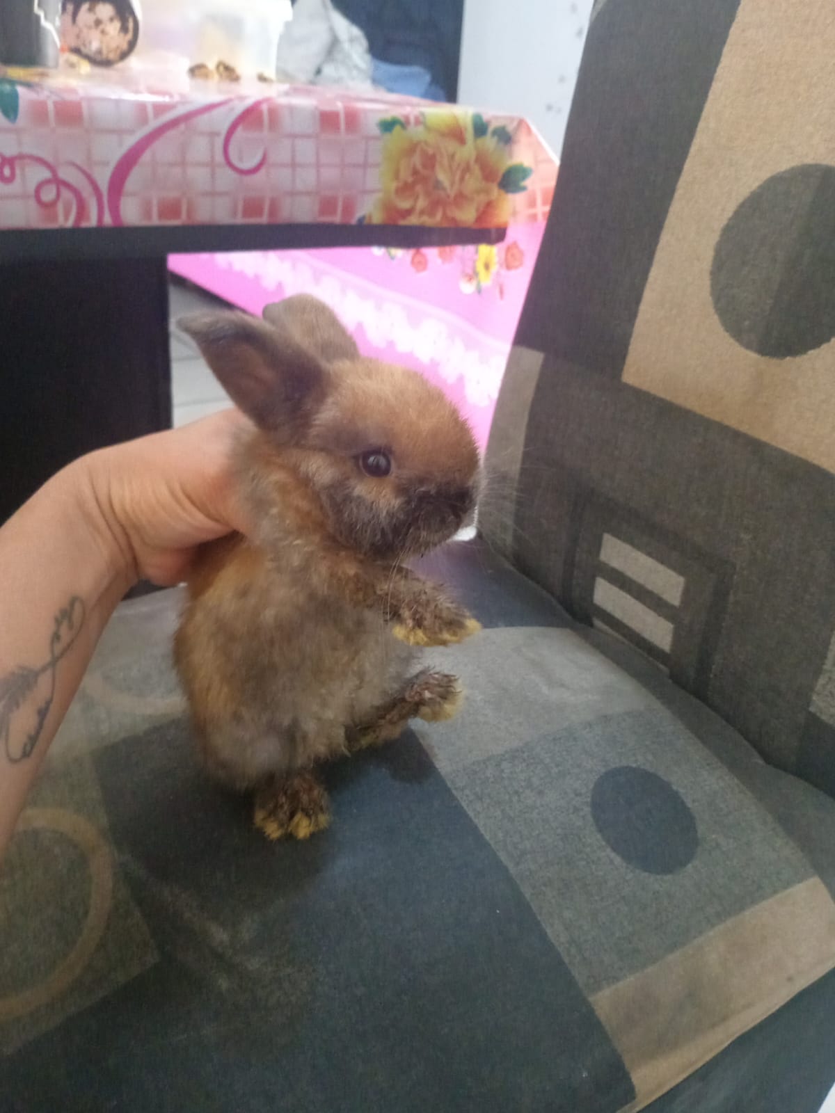 CHIQUITA
