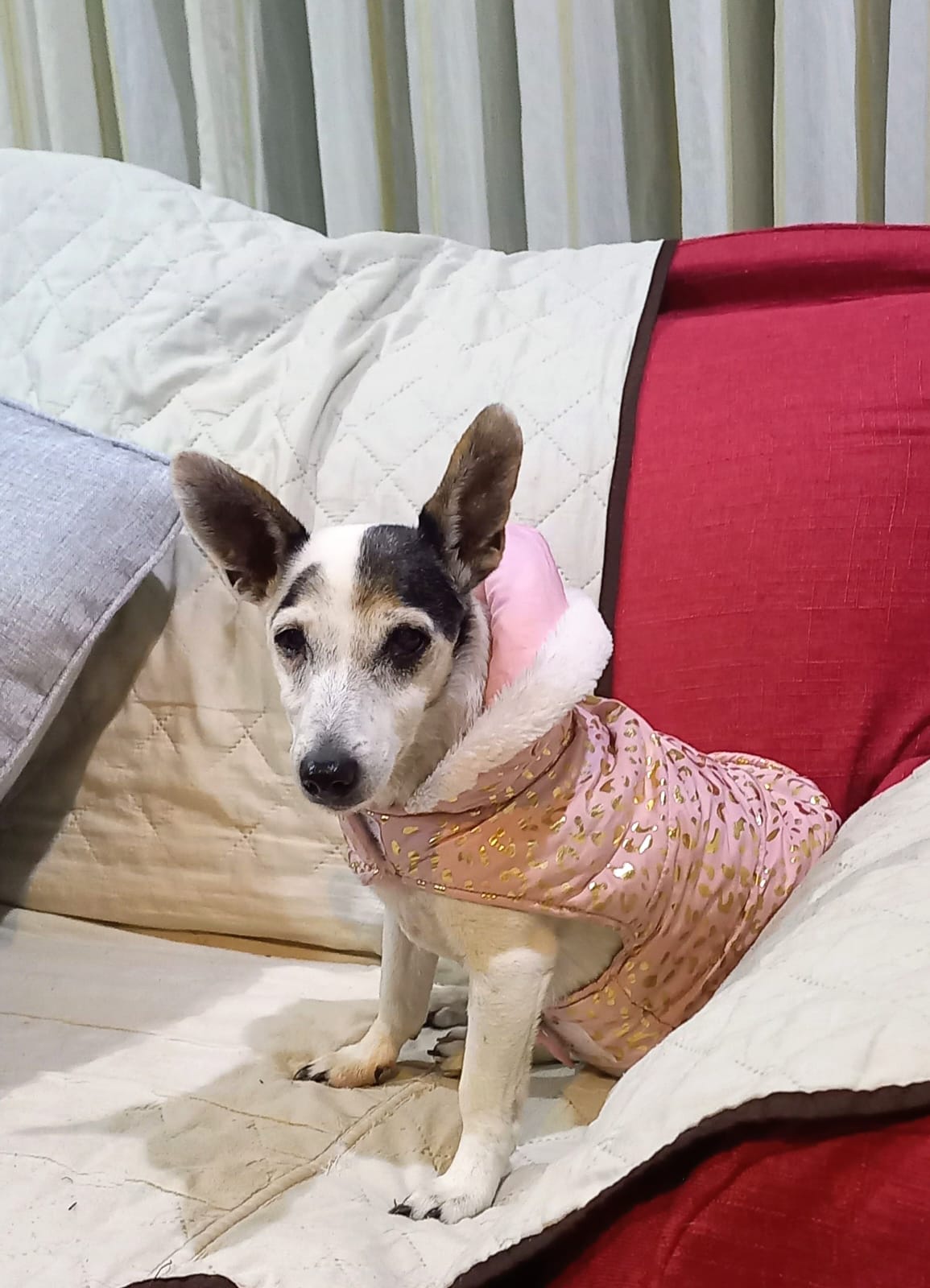 CHIQUITA