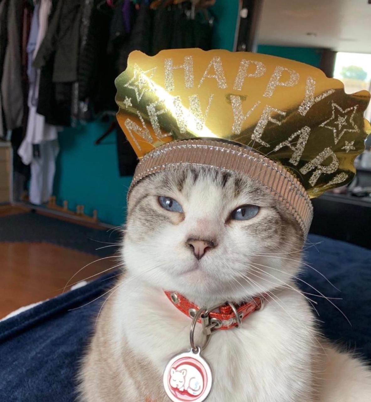 CHIQUITA