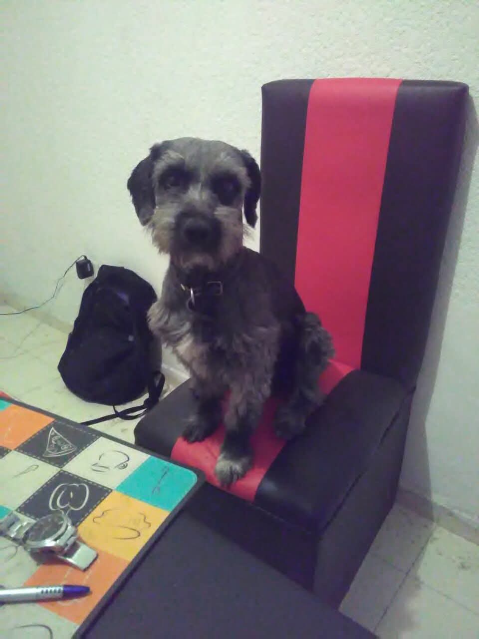 CHUCHO DE LA LUZ