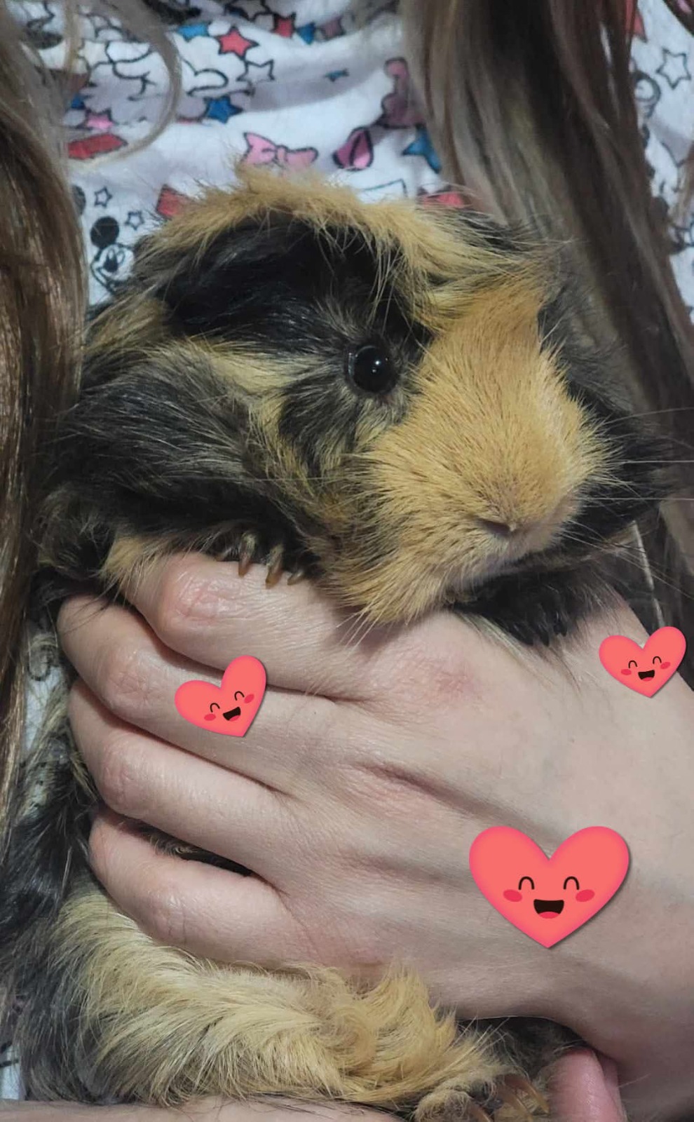 COBAYITO PICHI