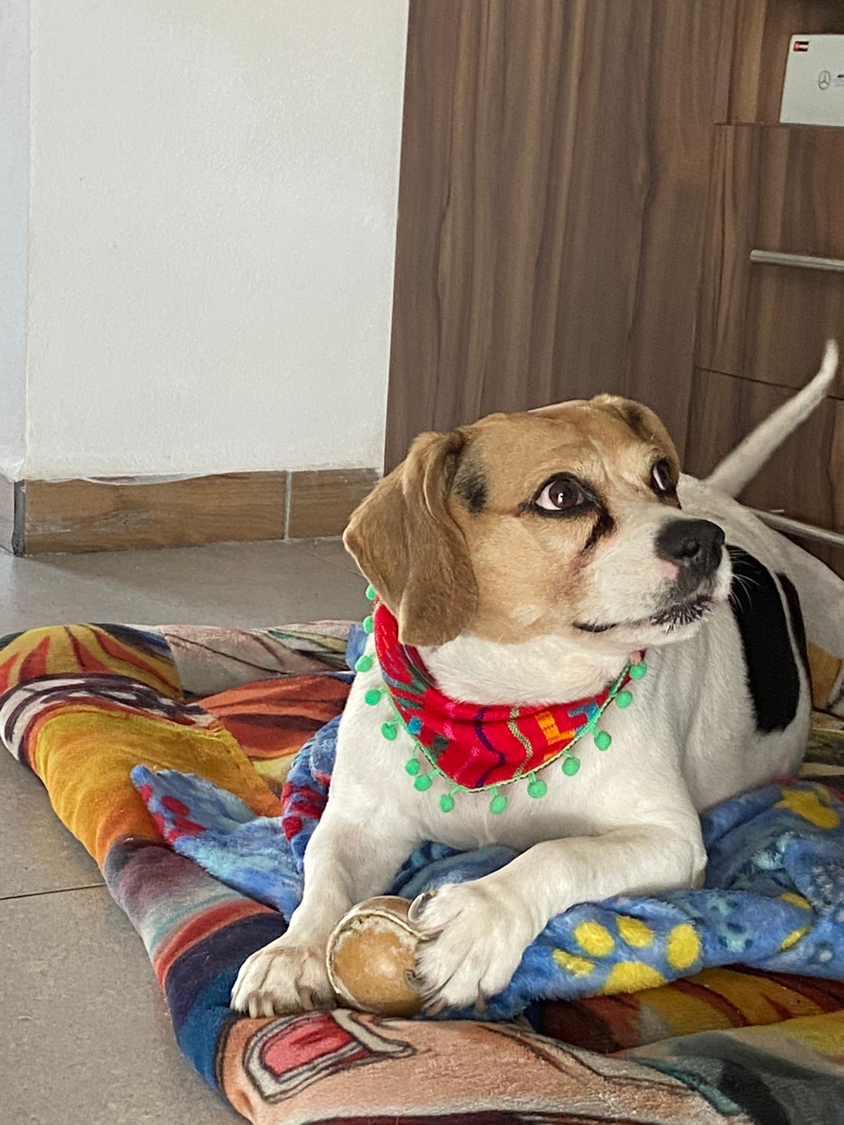 JOSIE