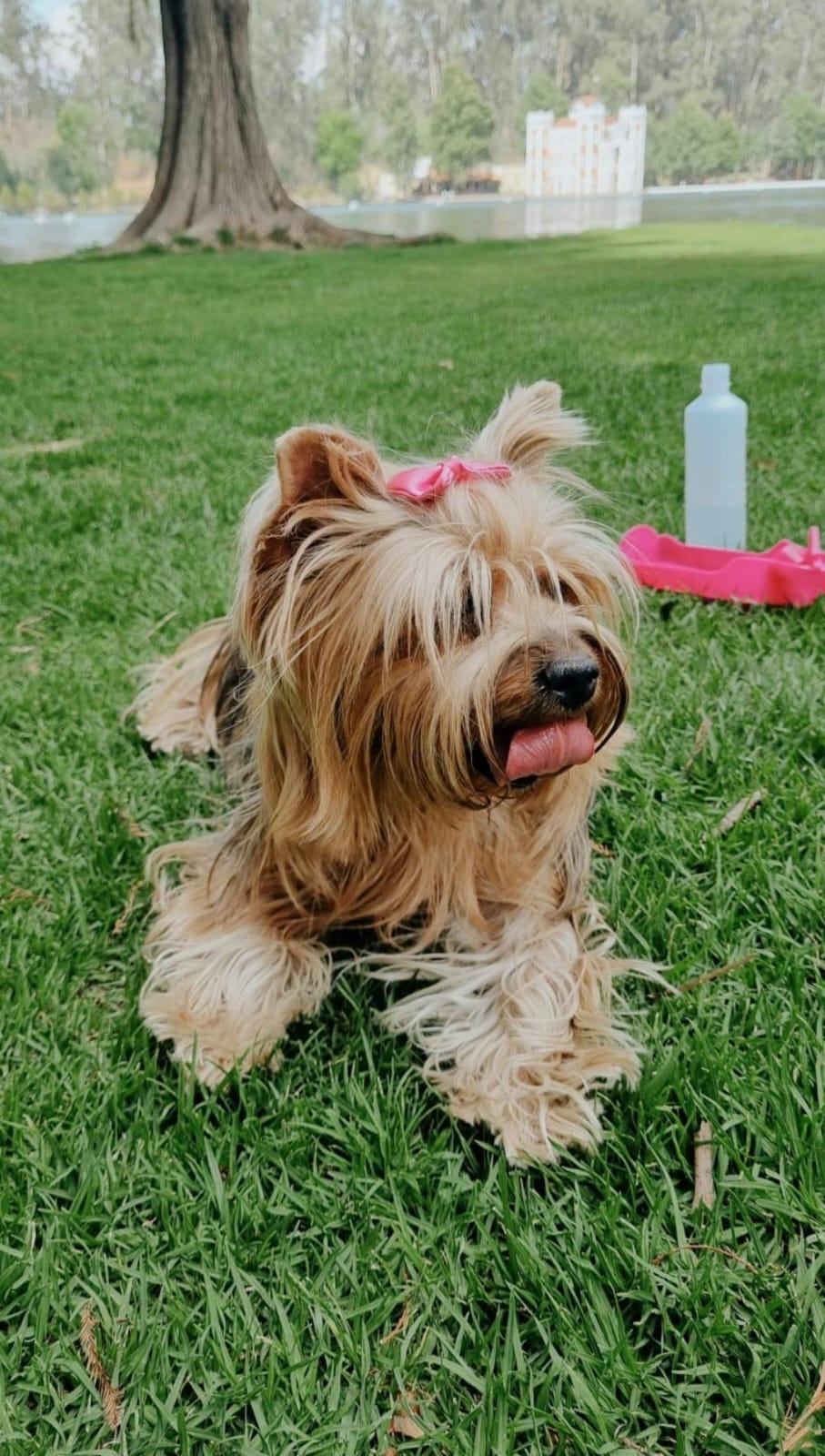 KIKA