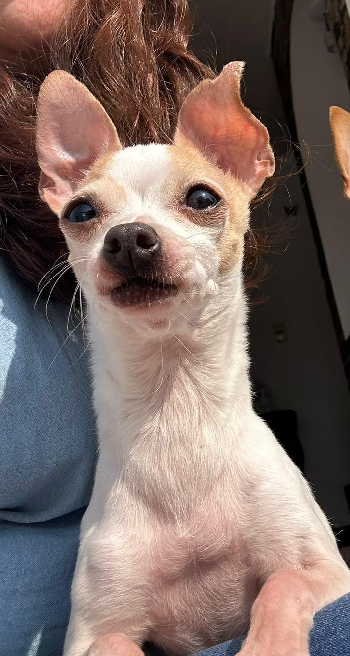 FIONA