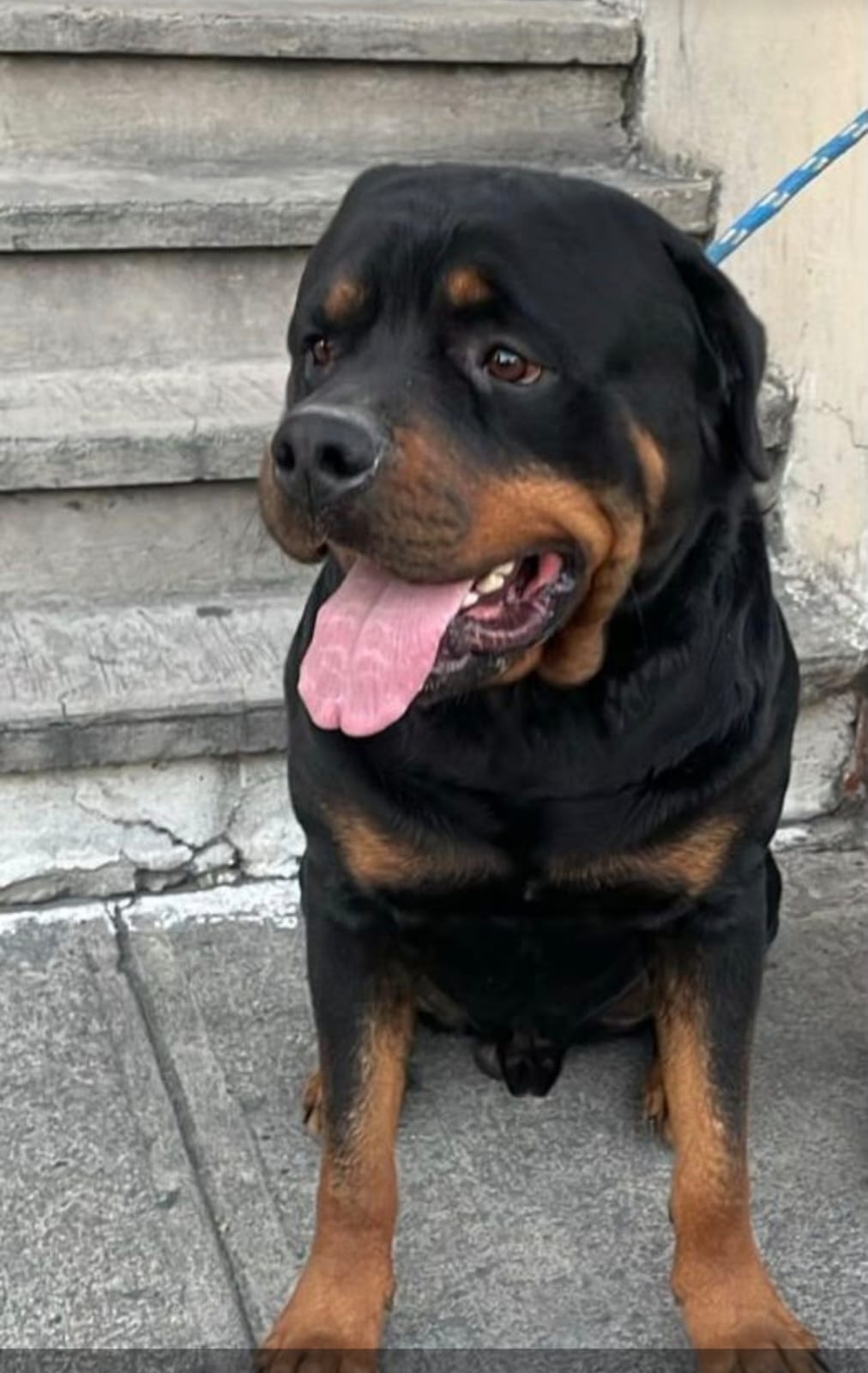 TAYSON