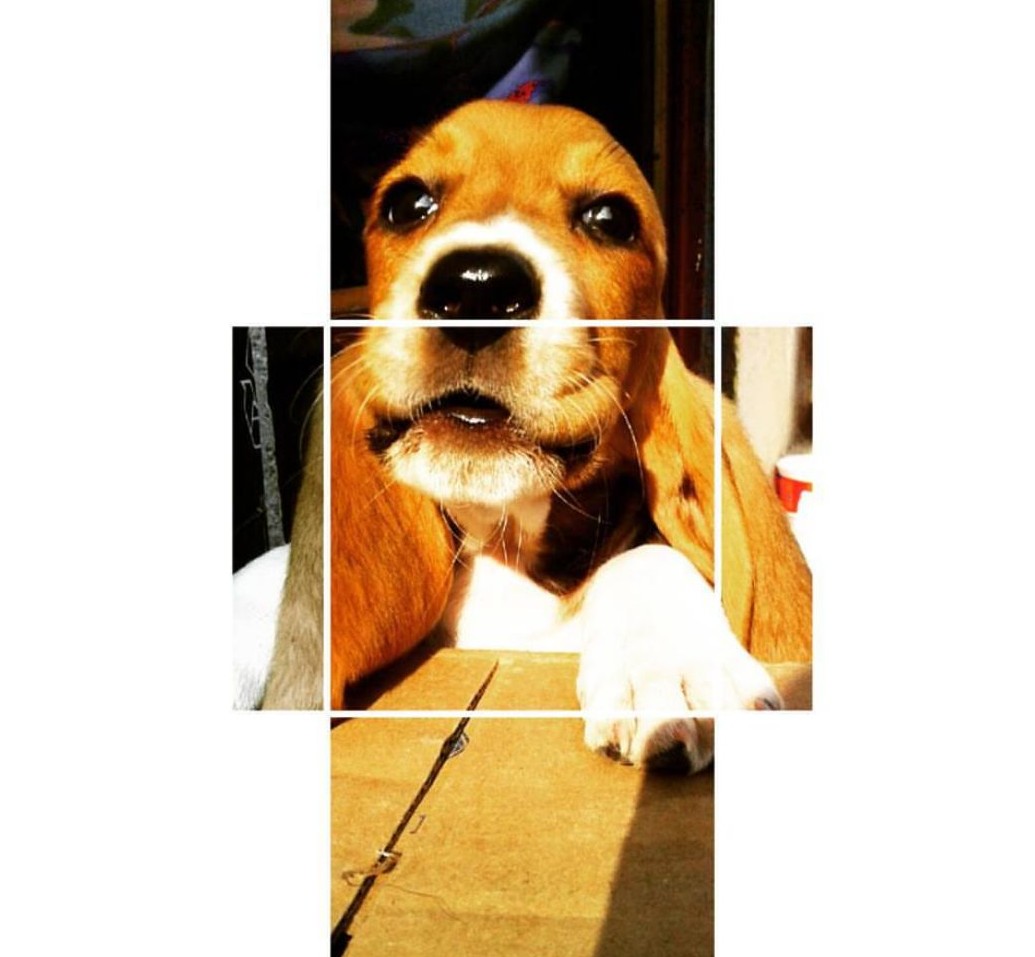 TOBY