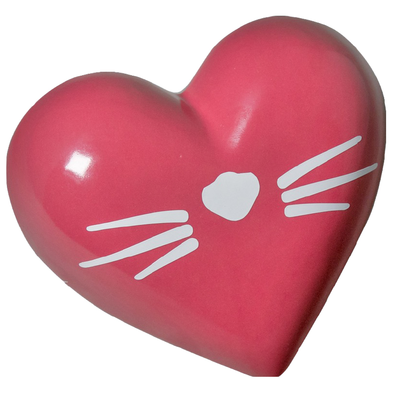CORAZÓN BIGOTES ROSA Y AZUL