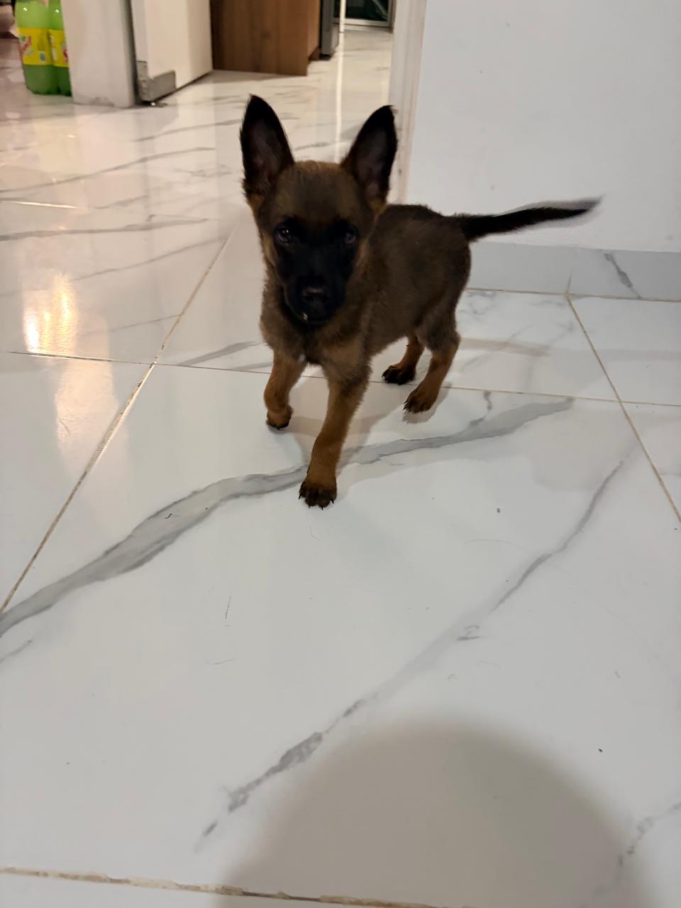 KIRA
