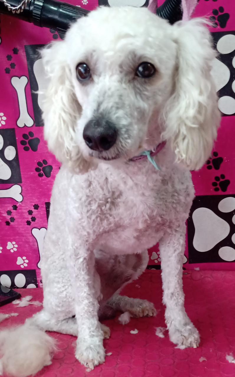 MUÑECO