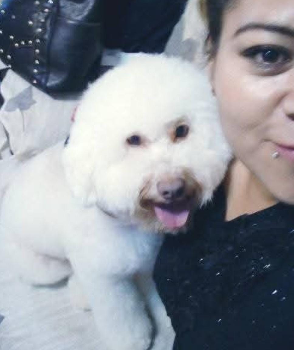 PELUCHE