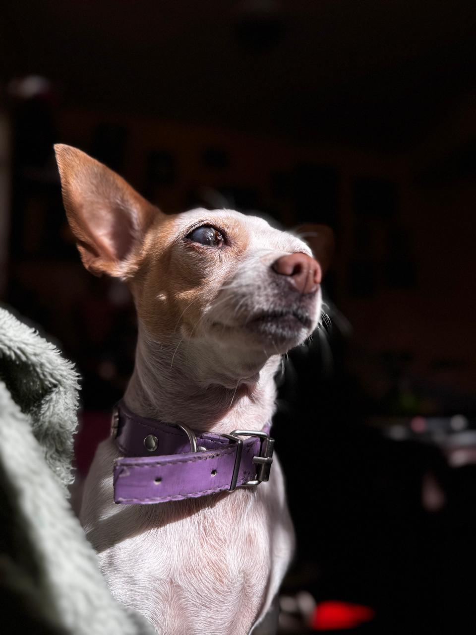 LADY