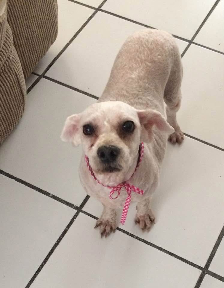 FIONA