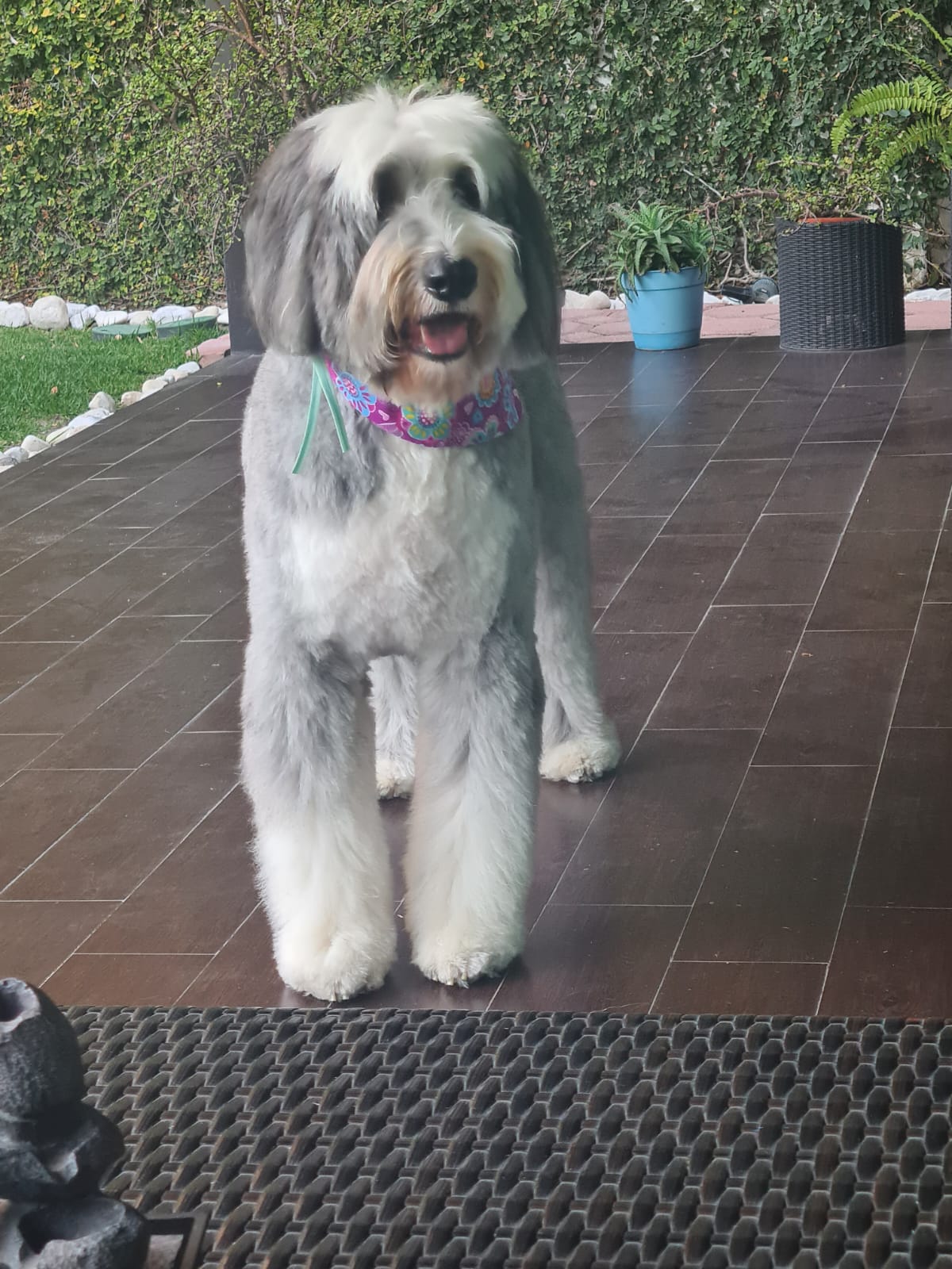 RUTI