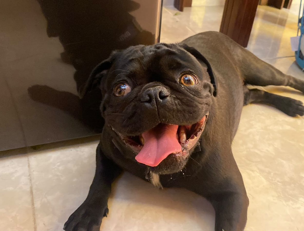 BRUCE