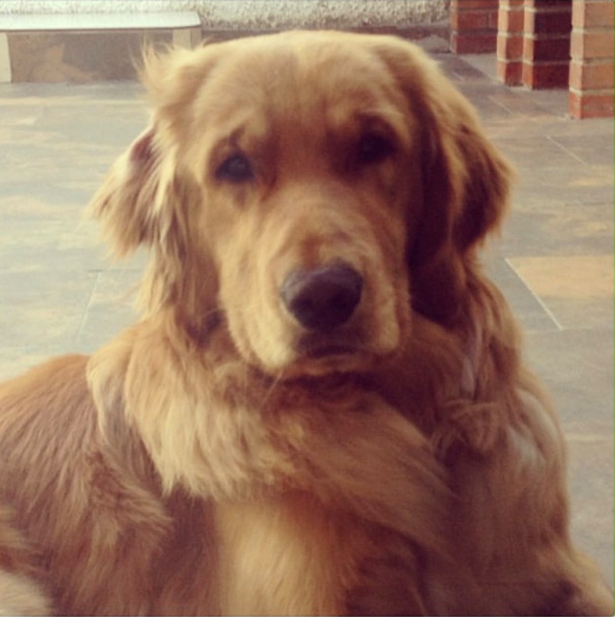 CAMILO
