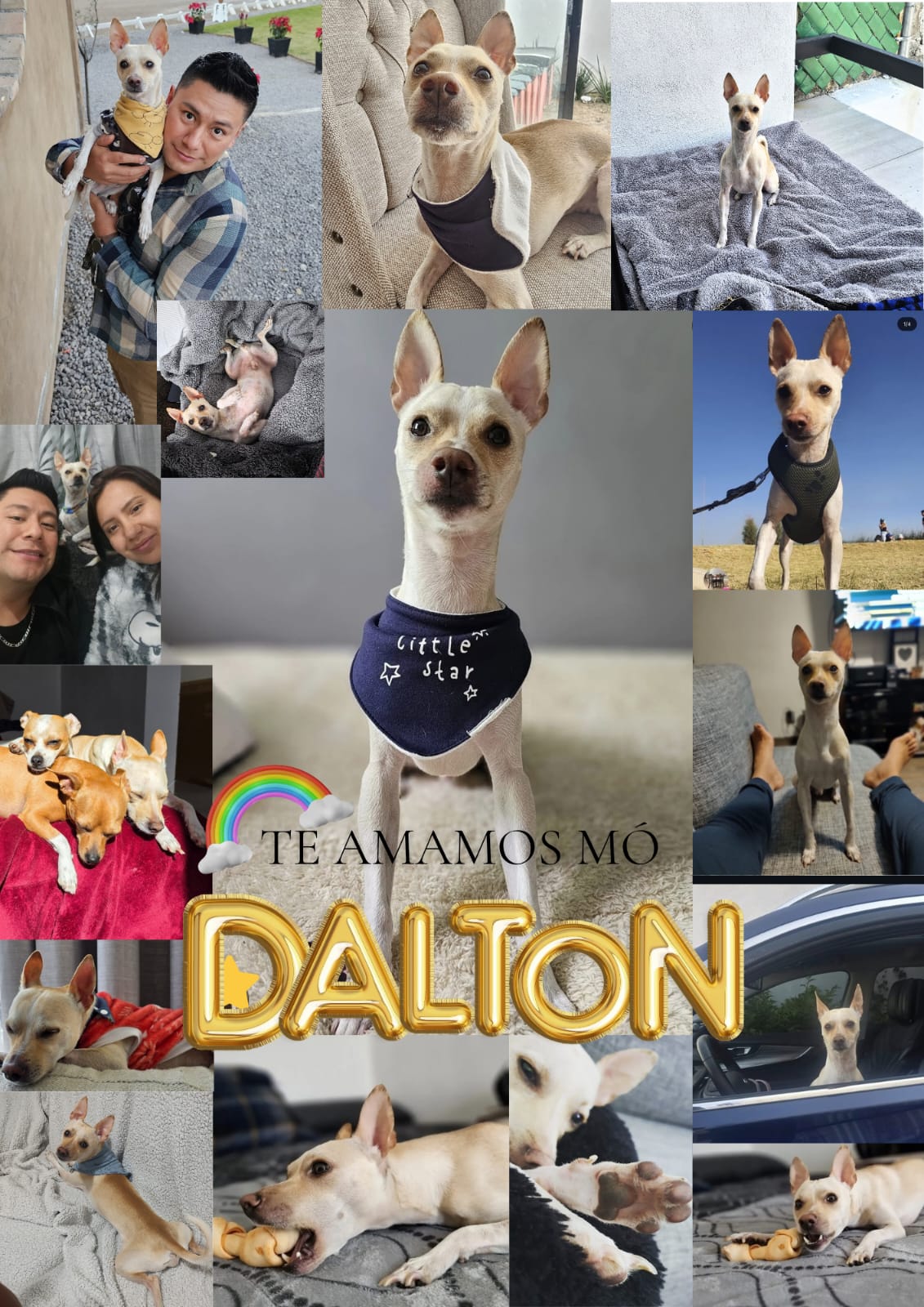 DALTON