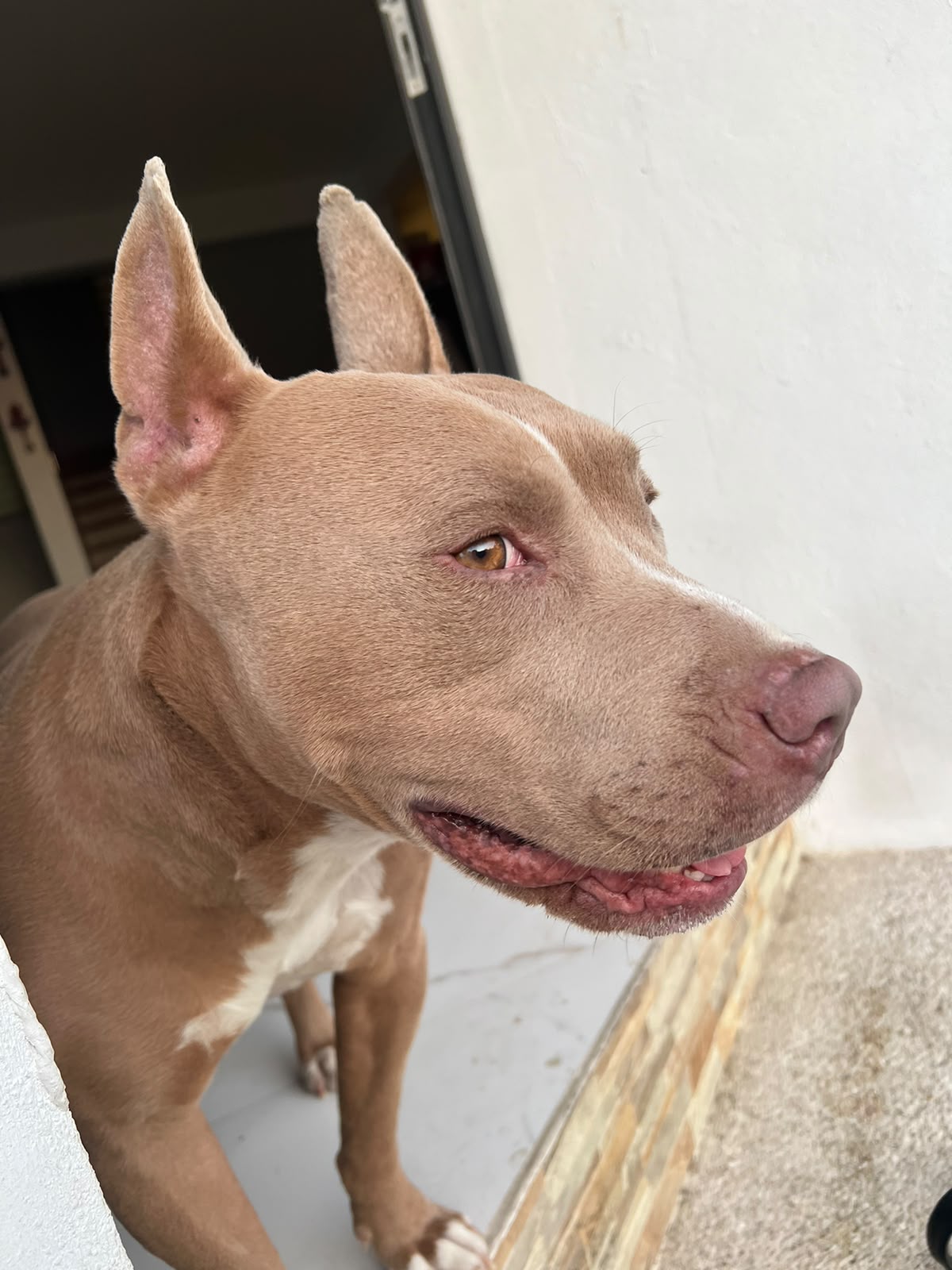 DÓRON