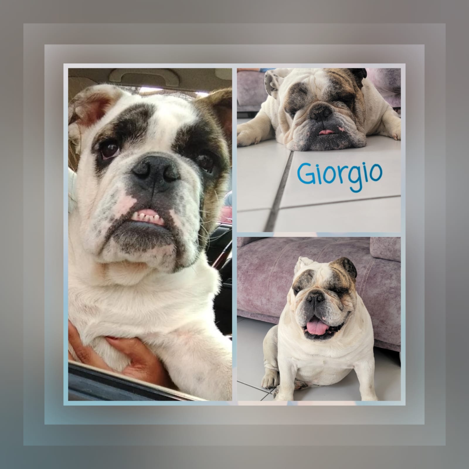 GIORGIO