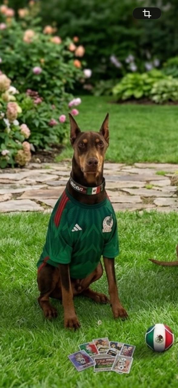 HÉCTOR
