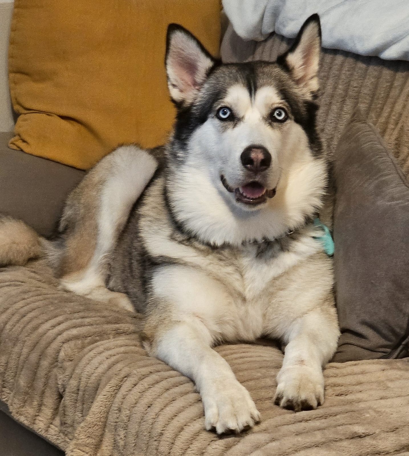 KYLA