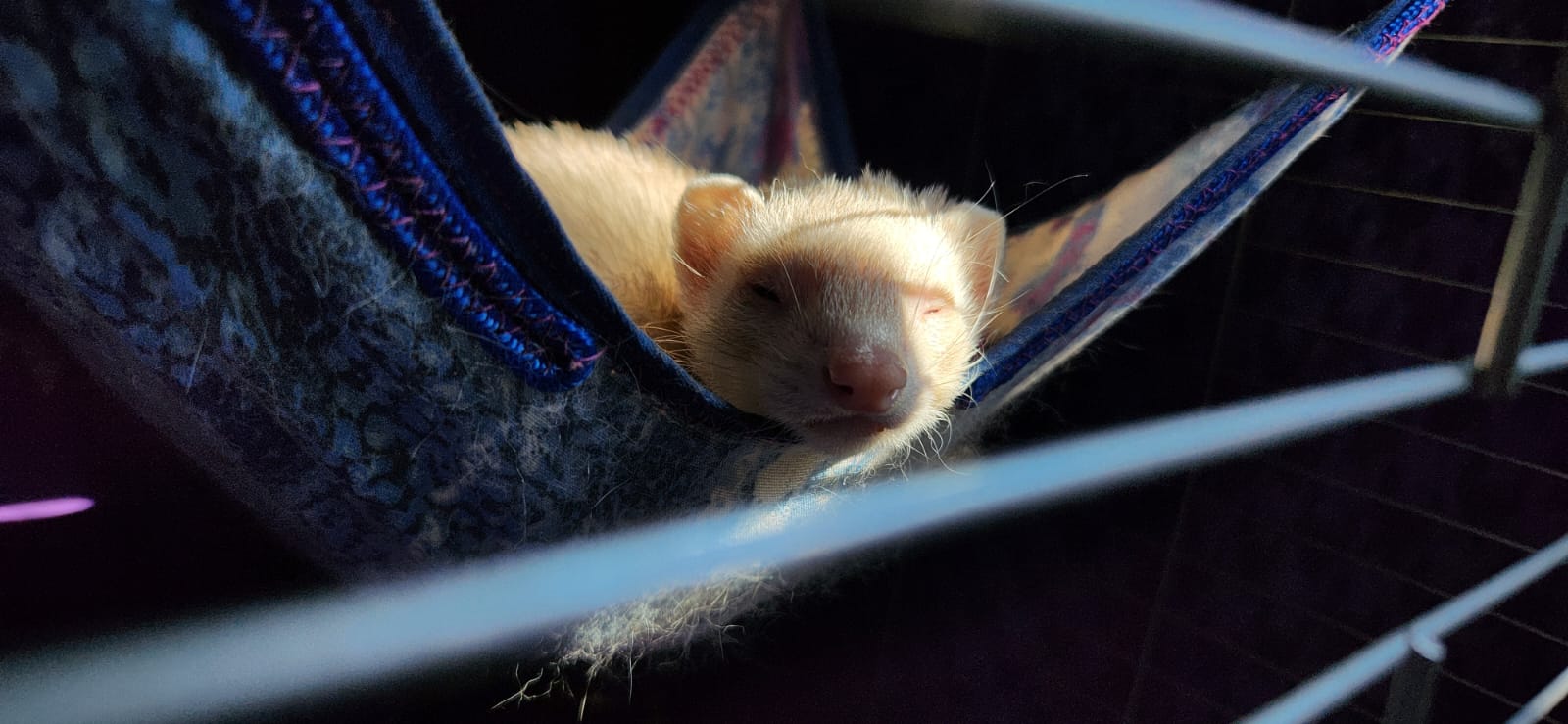 LUNA