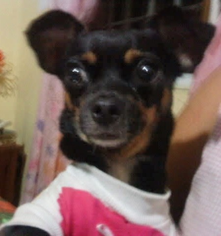 MITZI