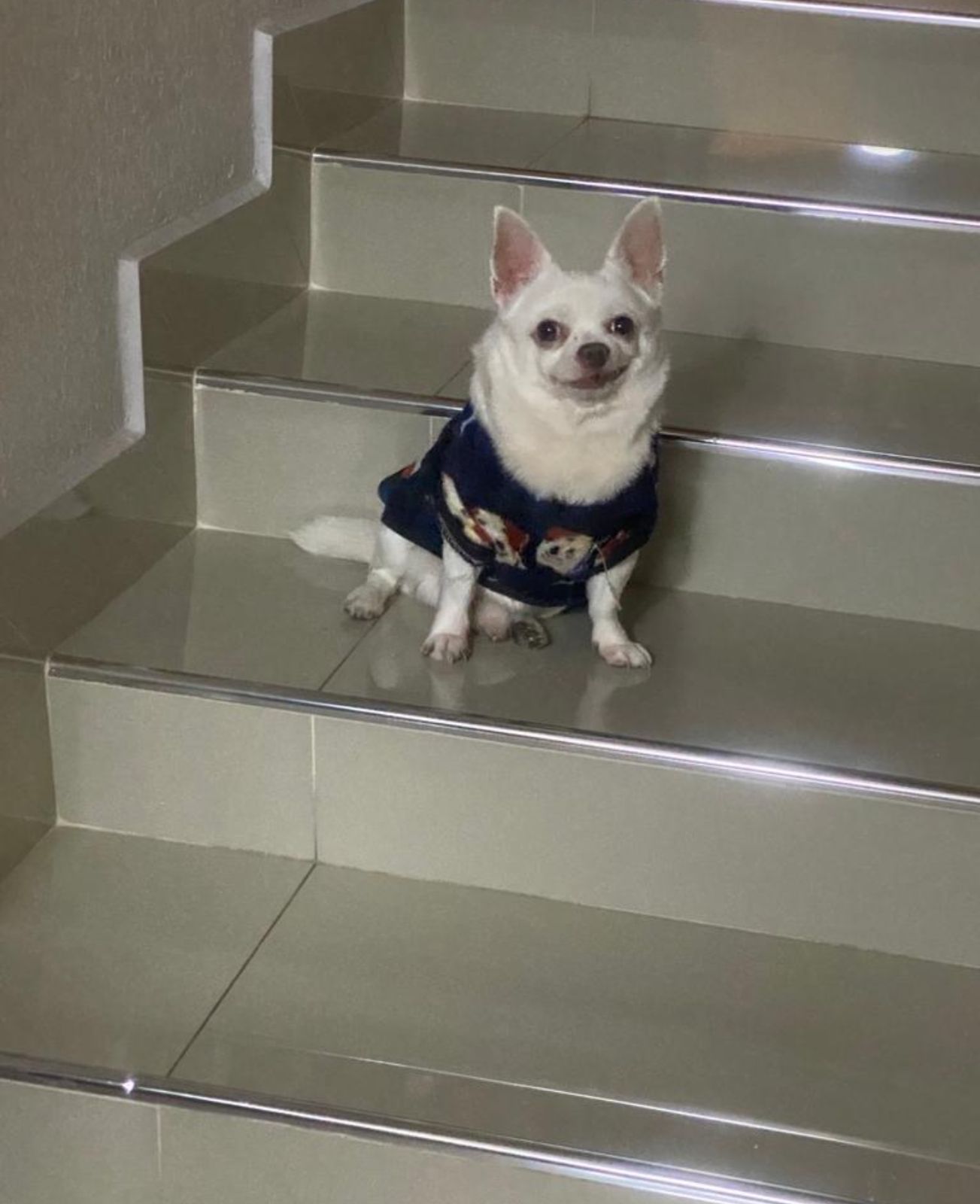 NACHITO