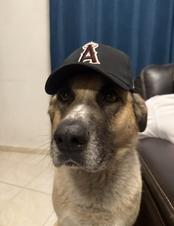 HÉRCULES