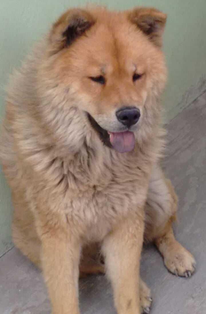 OSO