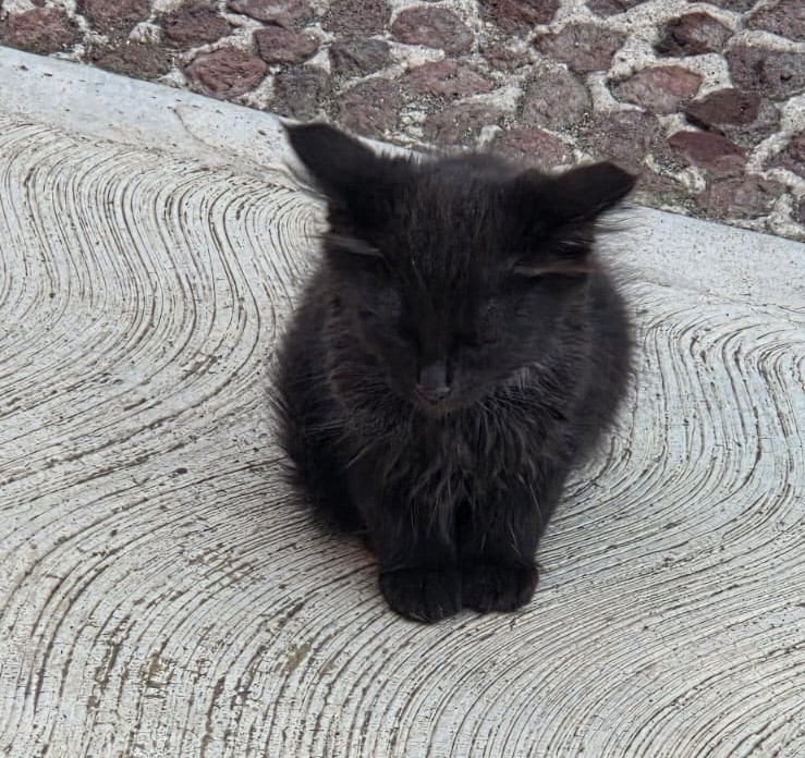 SALEM