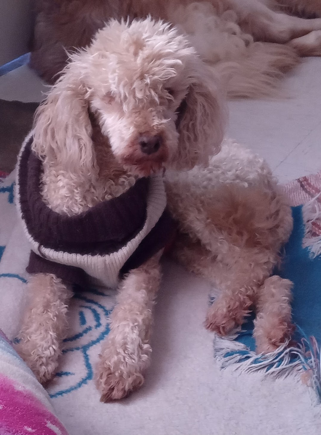 SHIZEN