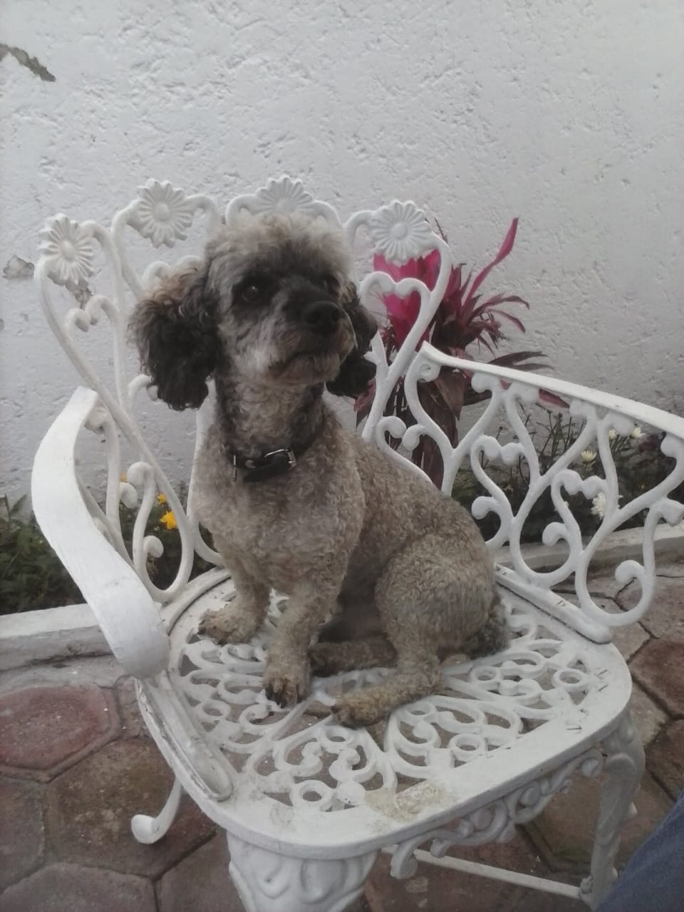 JACK