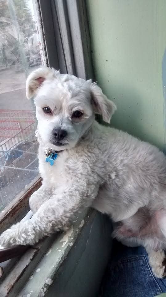 OSITO