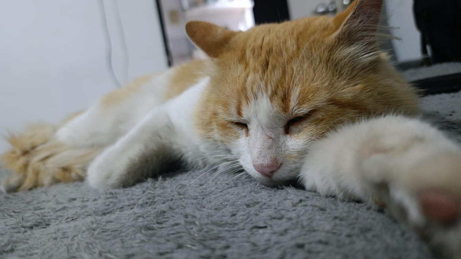 CHESTER