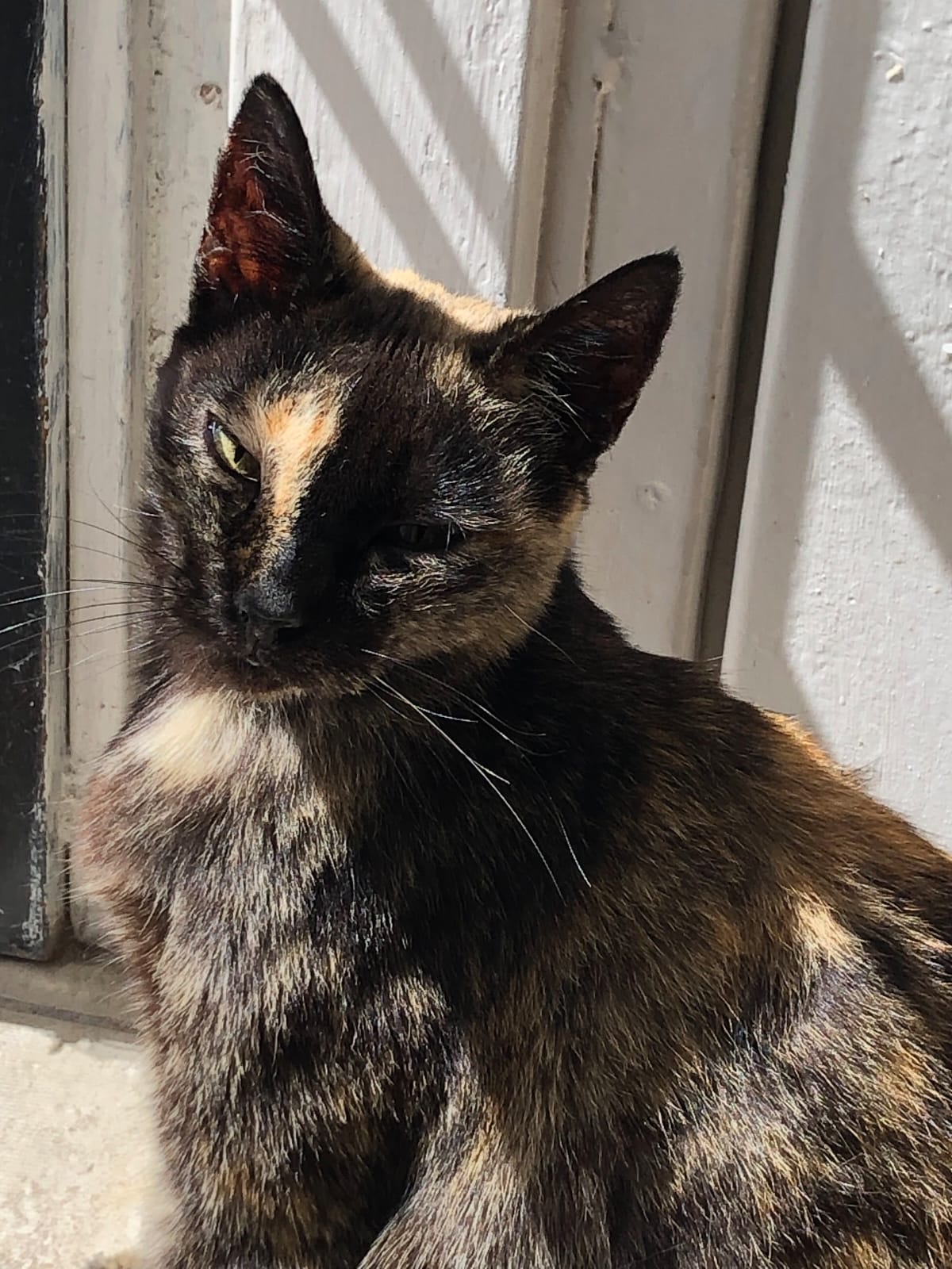 NIÑA