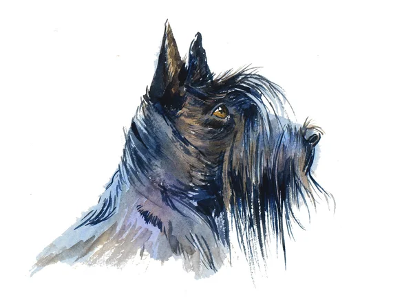 LUCA
