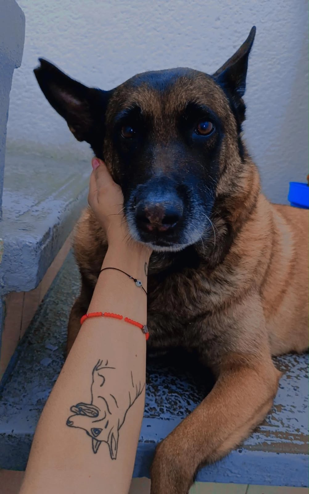 AKIRA