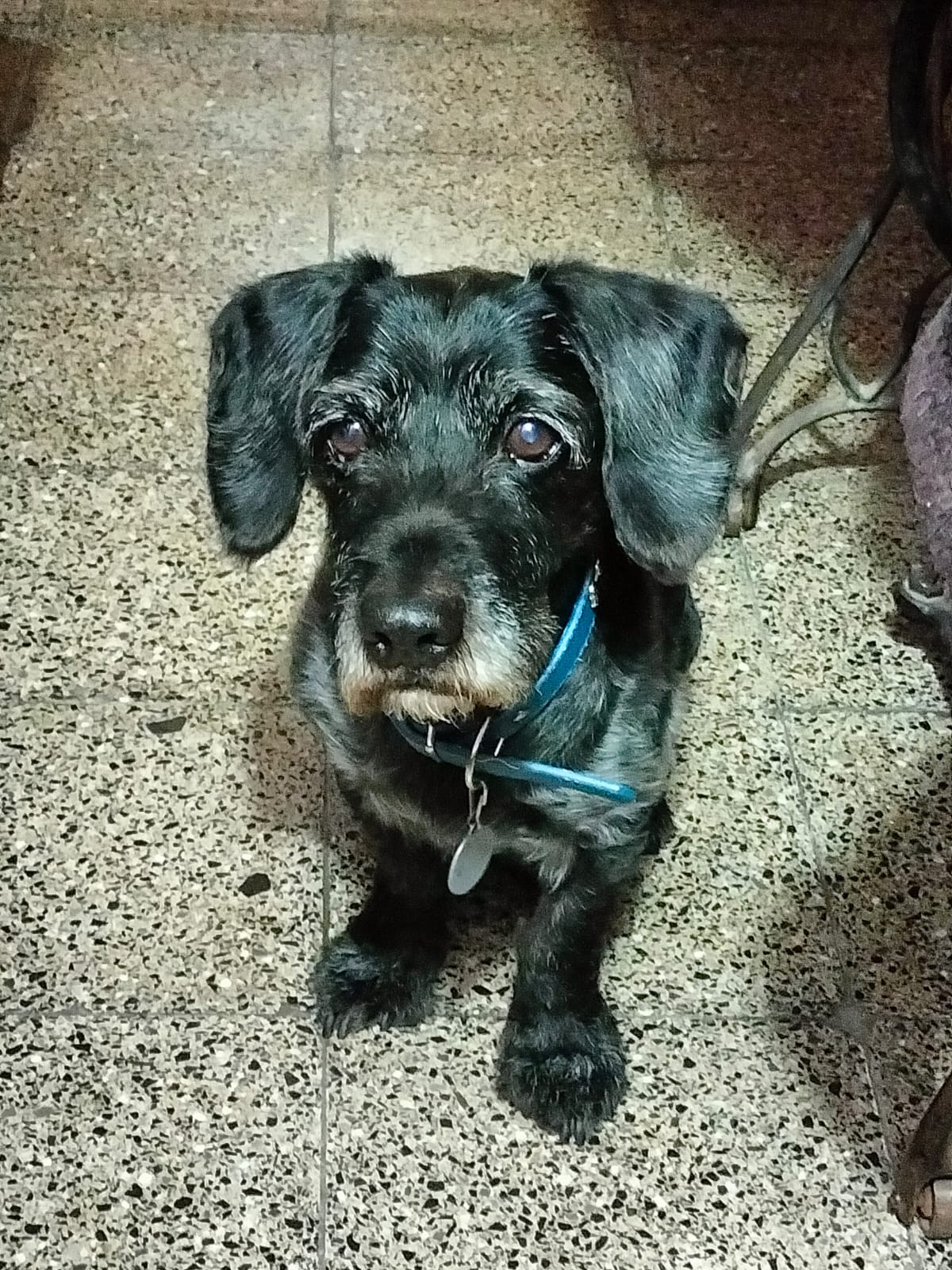 CHIKY