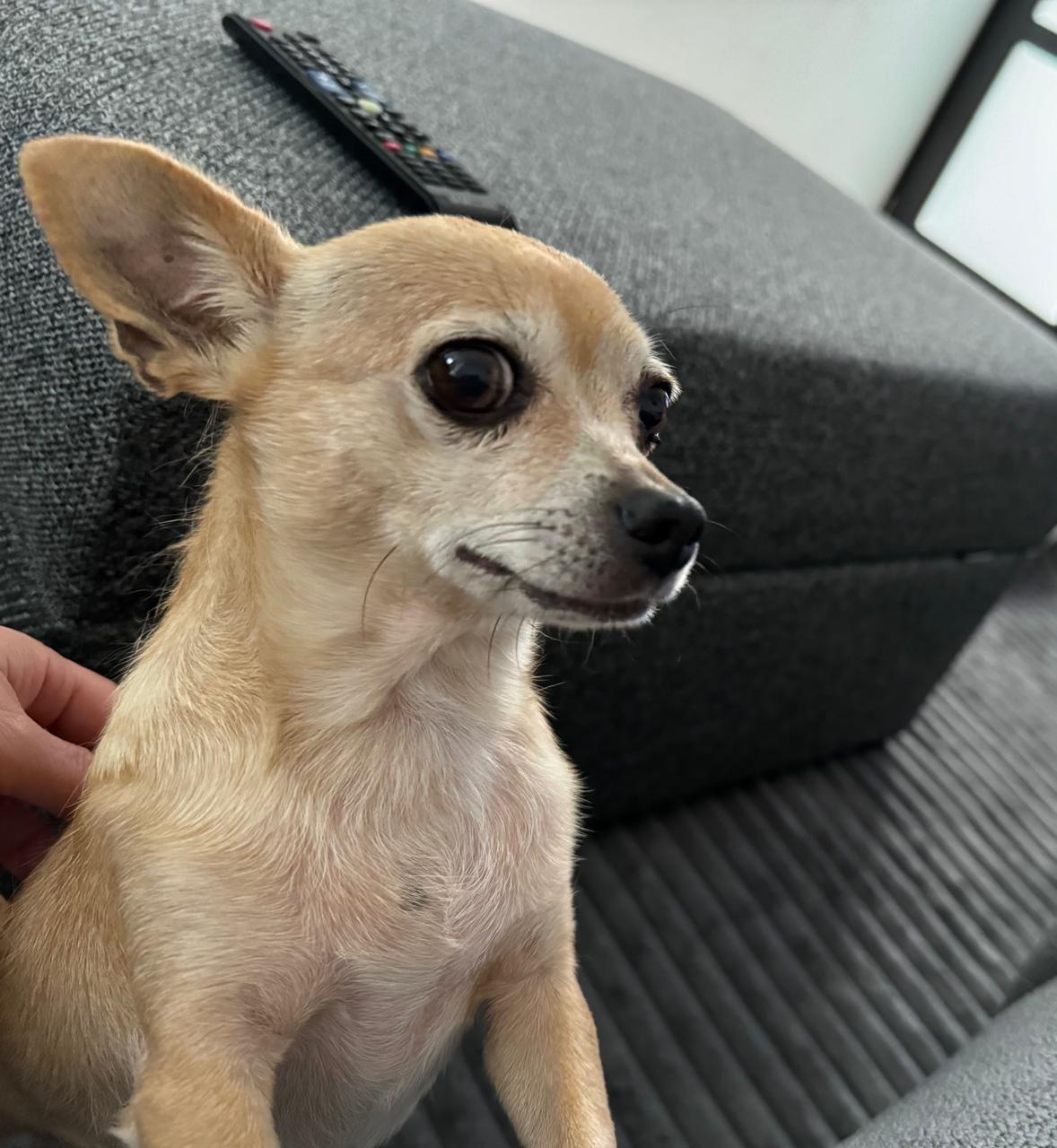 CHLOE
