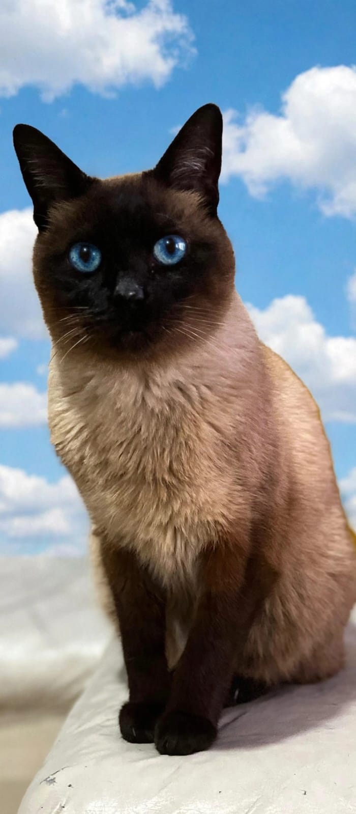GARY