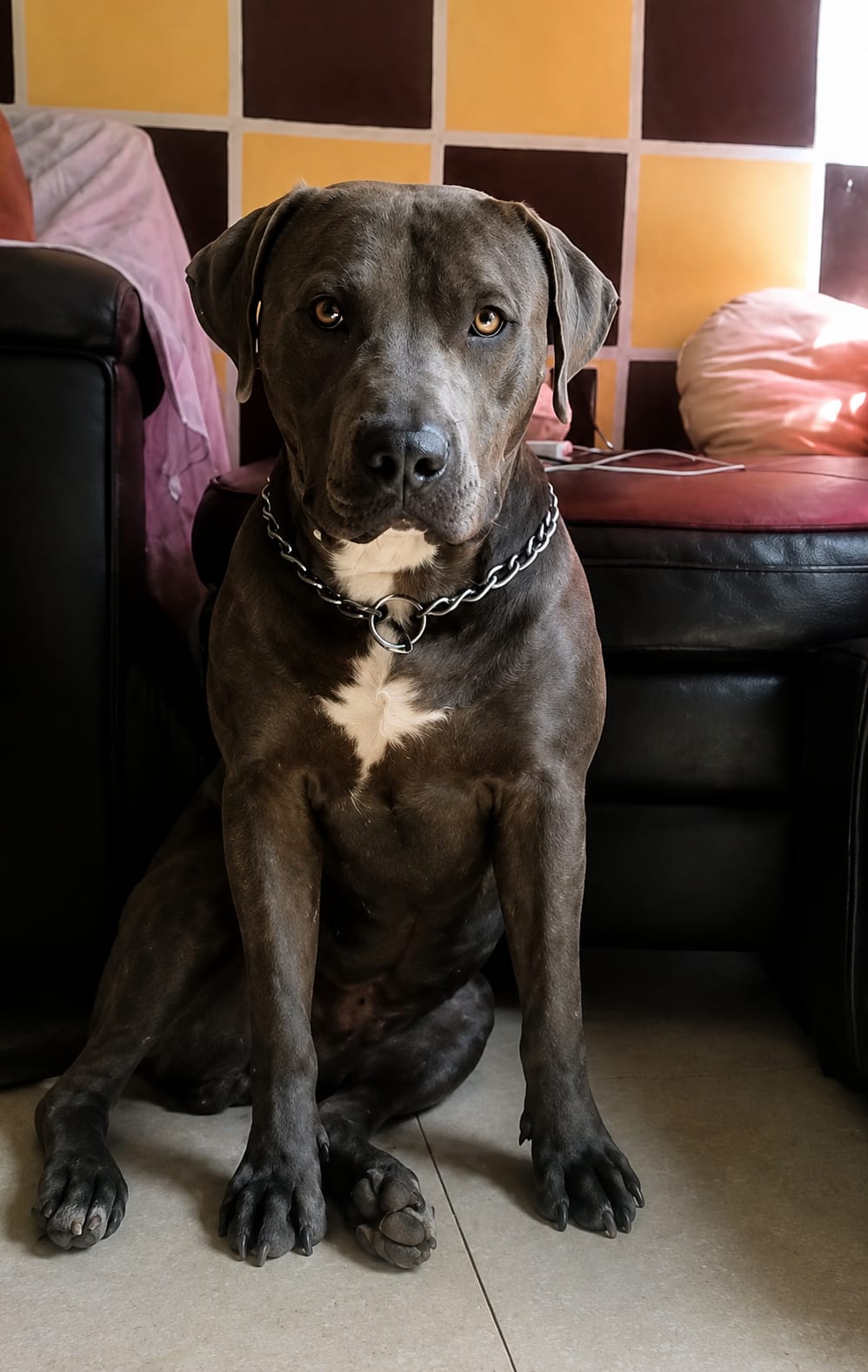 JUNIOR
