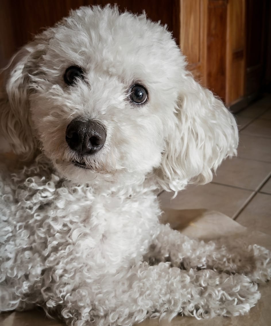 KAIRY