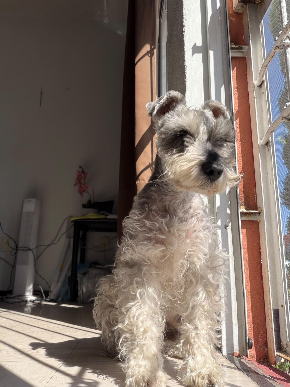 MILO